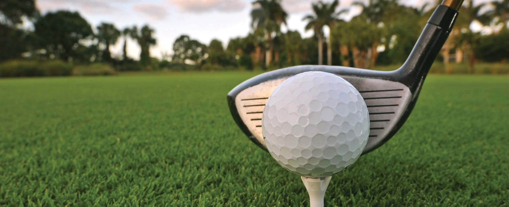 A golf driver lined up against a teed-up golf ball on the green.